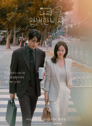 Мой идеальный секретарь